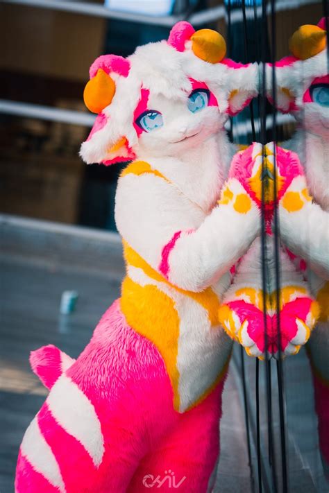 cute fursuit|super cute fursuits.